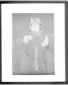 [Actor in a production of "The Blue Bird: A Fairy Play in Six Acts" by Maurice Maeterlinck]