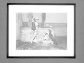 [Scene from a production of "The Blue Bird: A Fairy Play in Six Acts" by Maurice Maeterlinck]