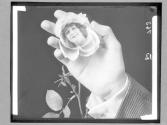 "My Alabama Rose"
