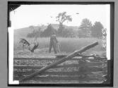 [Fence, Chicken, Farmer]