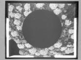 [Flowers In Circle]