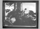 [The Pine Sprite, 1911]