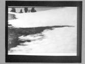 [Snowy landscape]