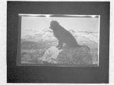 Some Snaps Of AB, Small Films Of AB
