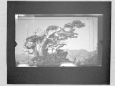 [Cypress tree]