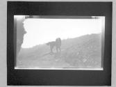 Some Snaps Of AB, Small Films Of AB