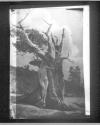 [The Heart Of The Tree, 1926]