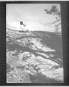 [The Pine Trees Shadow]