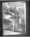 The Heart Of The Tree (19)26