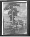 [The Pool, 1906]
