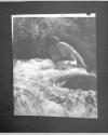 [The Brook, 1905]