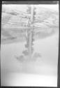 The Limpid Pool(1)(1906)