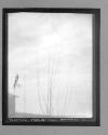 [Untitled-Exposure Instructions In Ink]