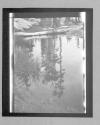 Witch Pool (19)12