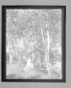 The Judgement Of Paris 1913