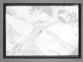 Rhythm, Trees At Summit-Snow Rhythm