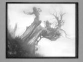 The Storm Tree/Thursday May 20 3:45