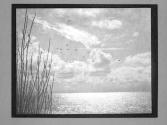 "By The Wind"