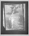 The Dying Cedar 1906