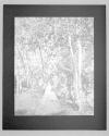 [Tree Negatives]