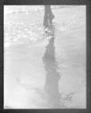 [Beach, Shadow]