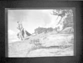 Soul of the Blasted Pine
