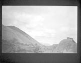 [Tree Negatives (Sierra Landscape)]