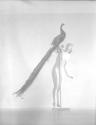 [Nude With Peacock]
