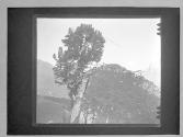[Landscape]