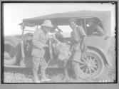 G.E.'s First Lion