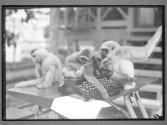 [Untitled]
