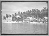 [Untitled]