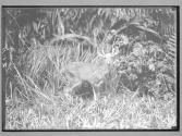[Untitled]