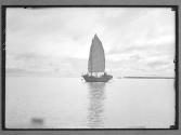 [Untitled]