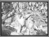 [Untitled]