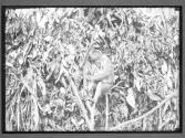 [Untitled]