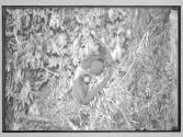 [Untitled]