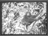 [Untitled]