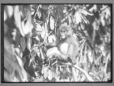 [Untitled]