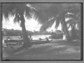 [Untitled]