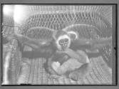 [Untitled]