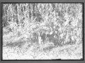 [Untitled]