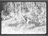[Untitled]