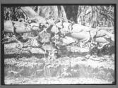 [Untitled]