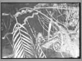 [Untitled]