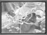[Untitled]
