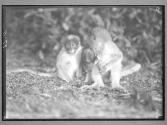 [Untitled]