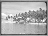 [Untitled]