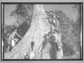 [Untitled]