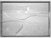 [Untitled]